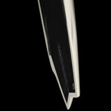 Wayne Rich Singularity Swallow Tail
