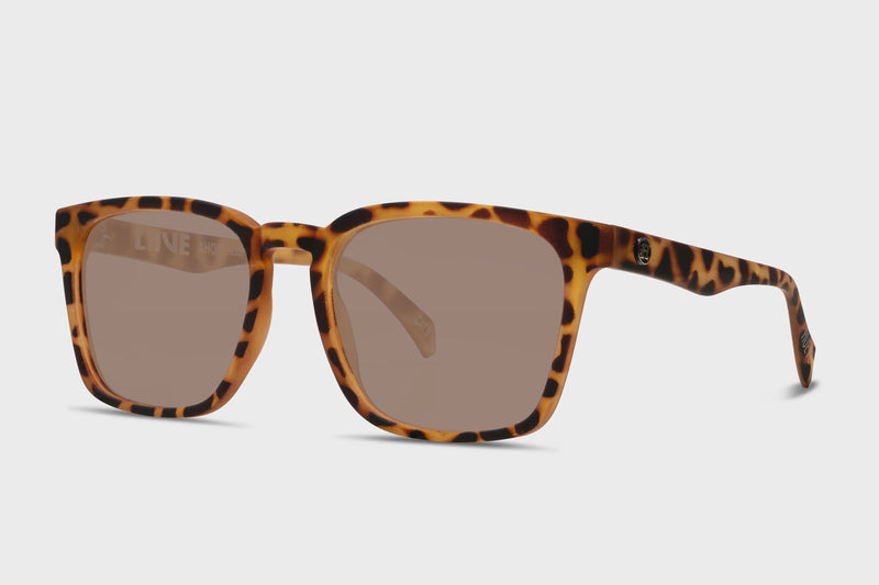 Liive Ahoy - Polarised Gold Tort