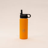 Dawny Adventure Club 530mL Cooler Water Bottle