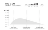 FIREWIRE - Taylor Jenson The Gem