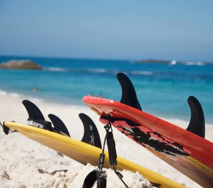 Surf Shop Auckland Ultimate Surf & Skate