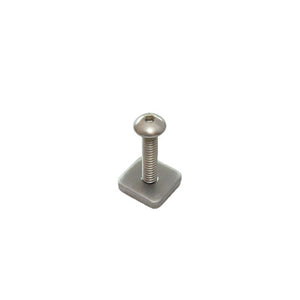 FCS Longboard Screw and Plate